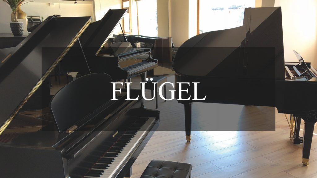 flügel-BUTTON_1